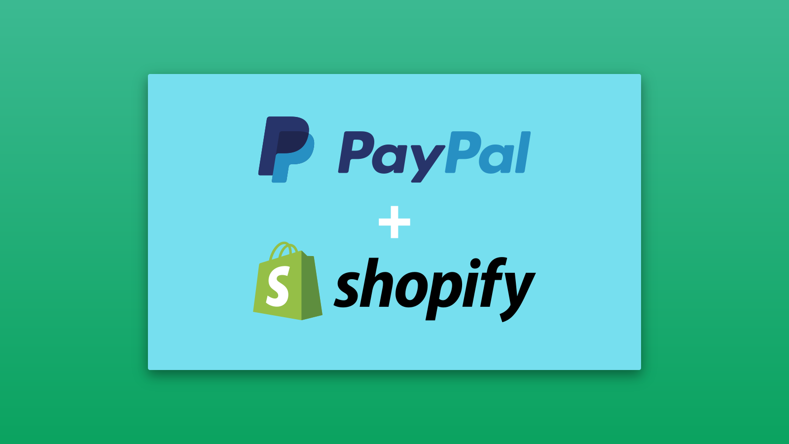Ihren PayPal Business Account in Ihrem Shopify Shop einrichten